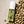 Load image into Gallery viewer, Ellis Brooklyn FOREVER PISTACHIO Perfume Mist

