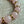 Load image into Gallery viewer, UnCage Beaded Bracelet - Rose Quartz
