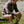 Load image into Gallery viewer, Faherty Byron Bay Hoodie
