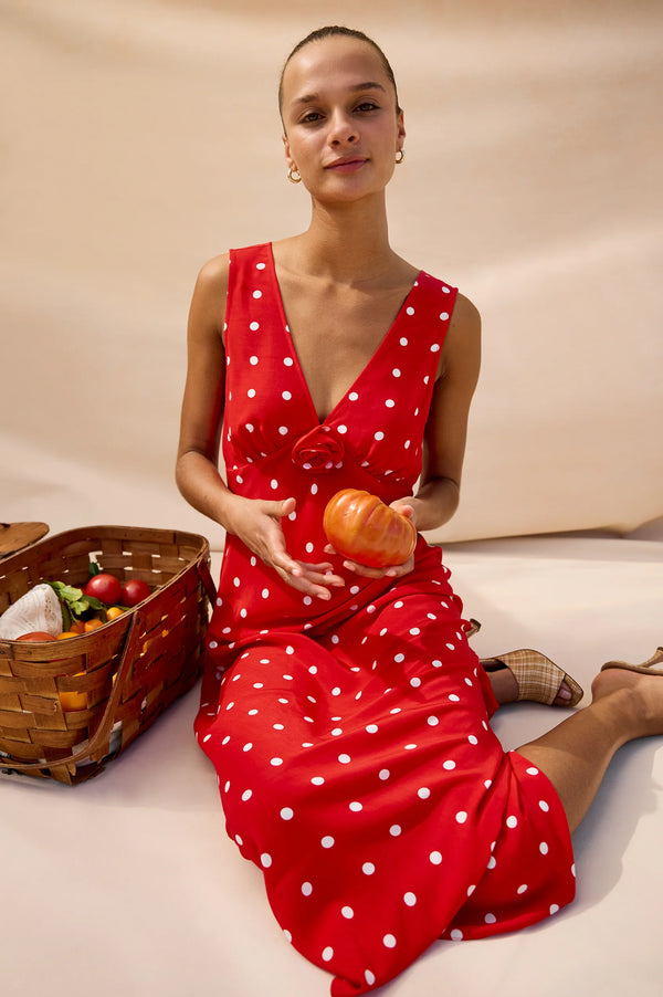 Giadzy x Rails Terena Dress
