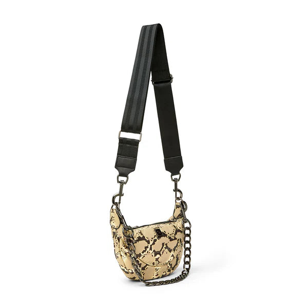 Think Royln Tiny Dancer